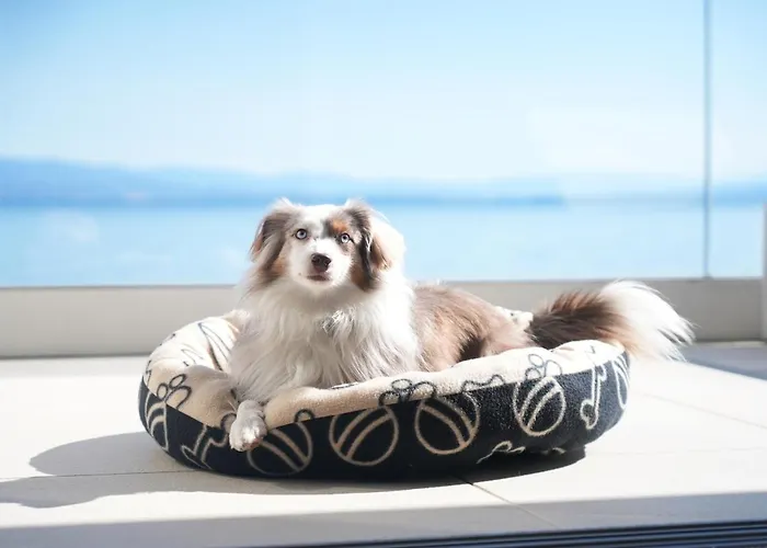 Bevanda Hotel&restaurant - Unique Adriatic