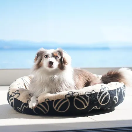 Bevanda & Restaurant - Unique Adriatic